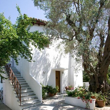 Villas Alexandra Skiathos Platanias  Esterno foto