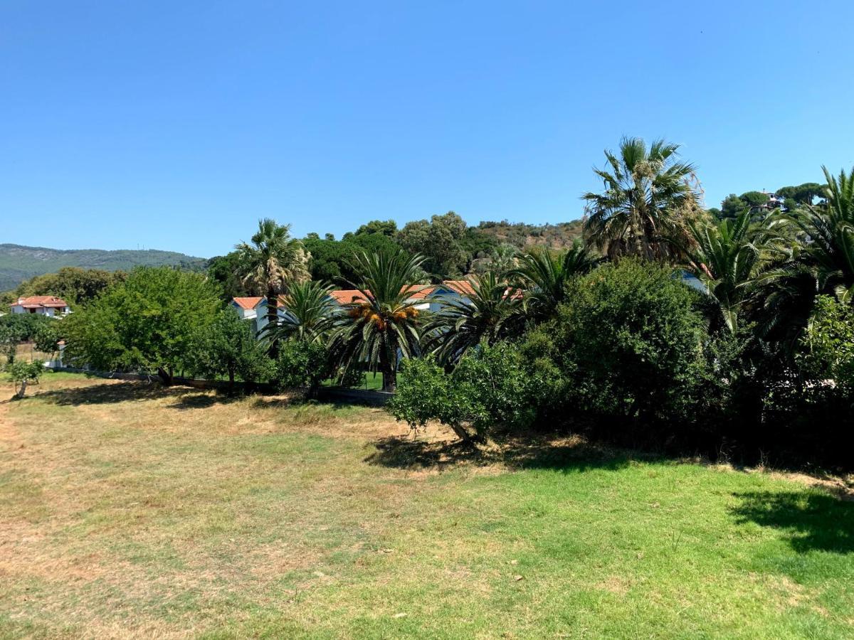 Villas Alexandra Skiathos Platanias  Esterno foto