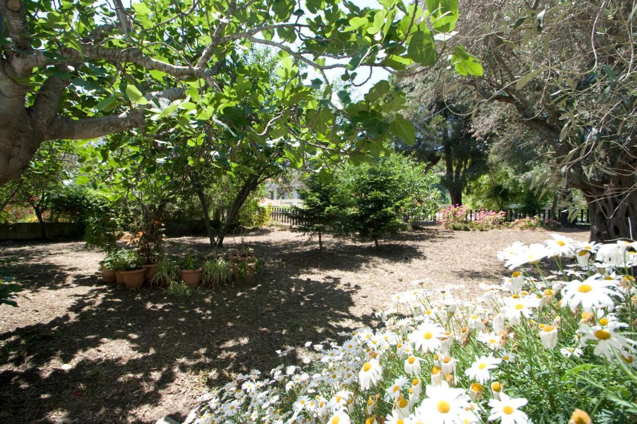 Villas Alexandra Skiathos Platanias  Esterno foto