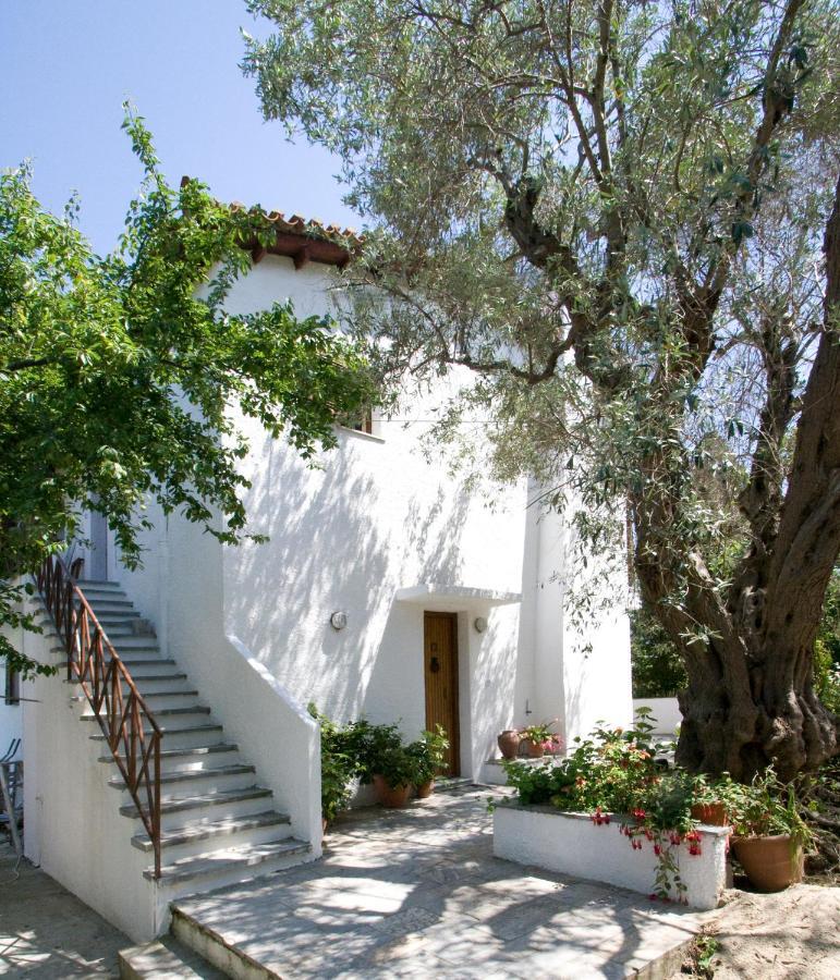 Villas Alexandra Skiathos Platanias  Esterno foto