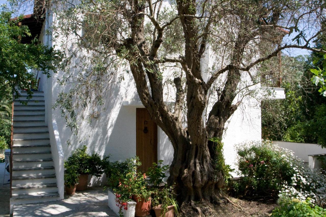 Villas Alexandra Skiathos Platanias  Esterno foto